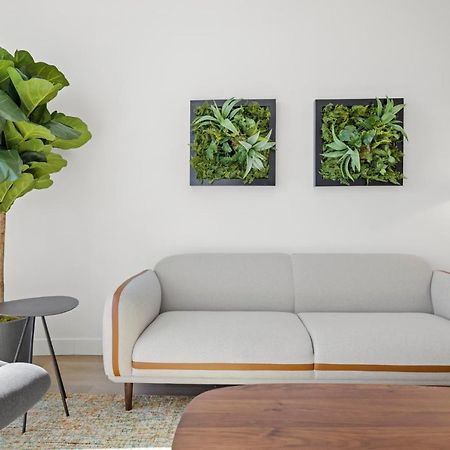 Whyhotel By Placemakr, San Jose Eksteriør billede